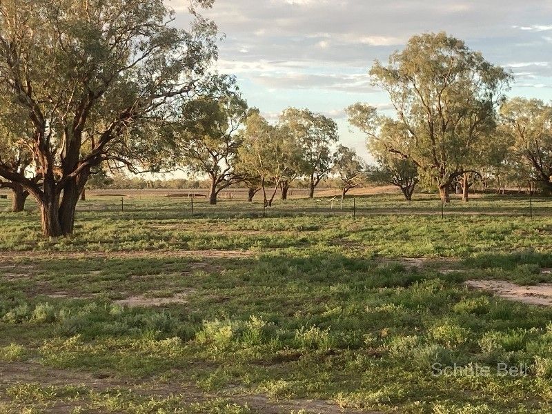 . West Mooculta, Bourke NSW 2840, Image 1