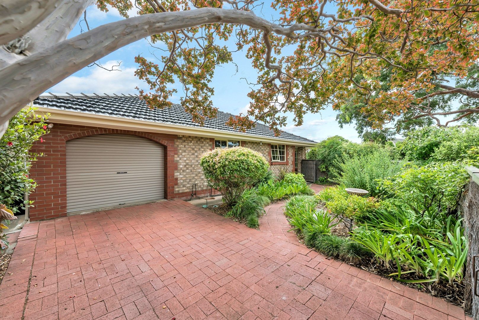 5/3 Pine Avenue, Warradale SA 5046, Image 0