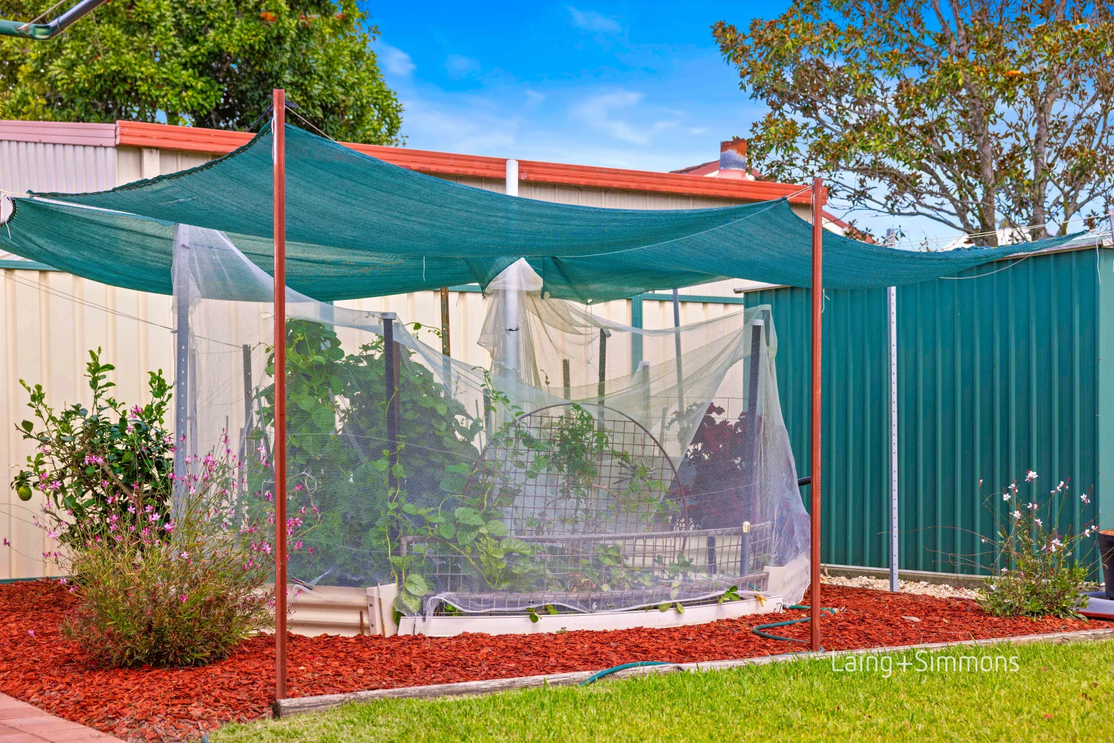 Additional image 18 of 30 Timbertown Crescent, Wauchope NSW 2446