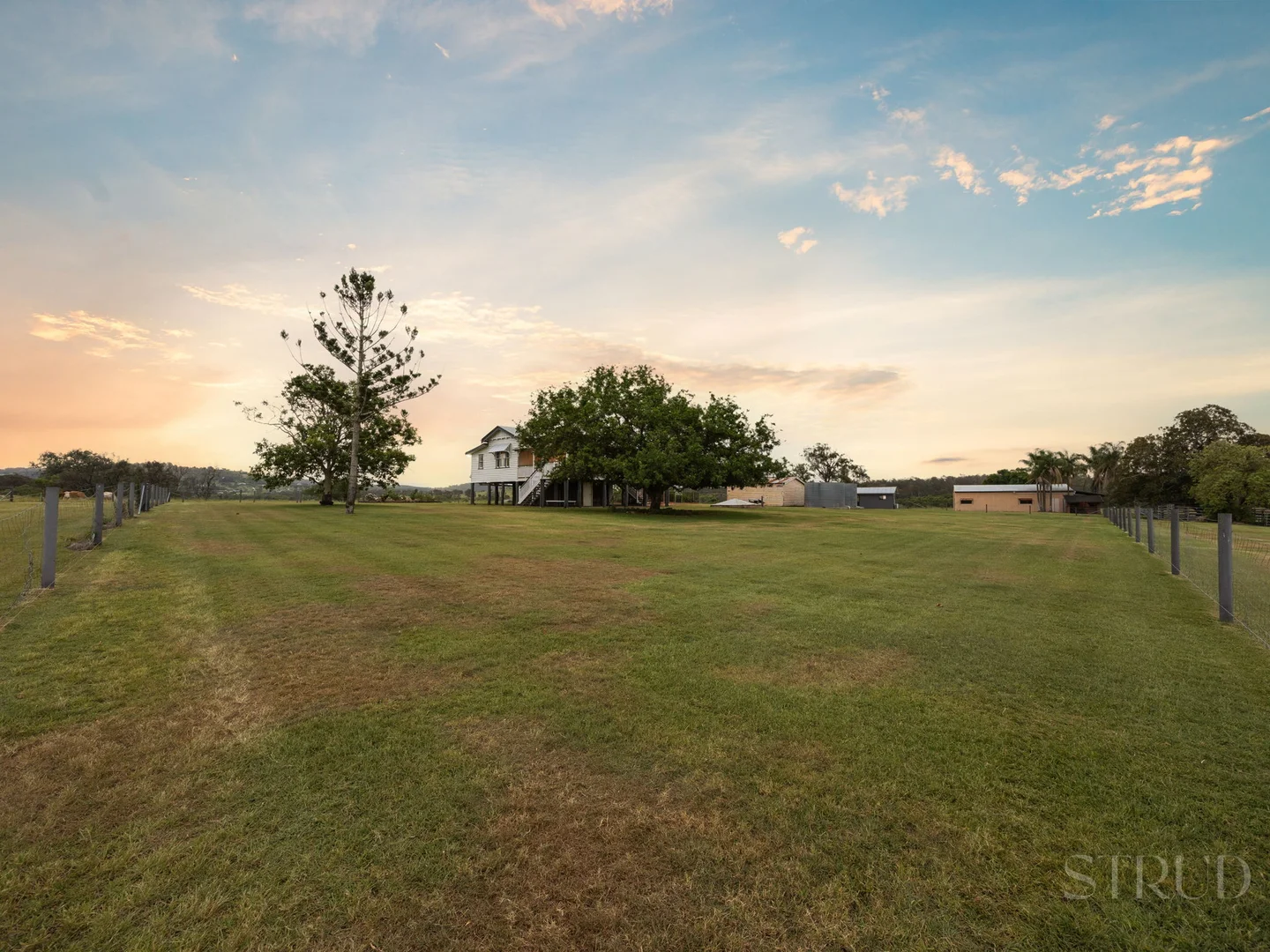 Image 31
