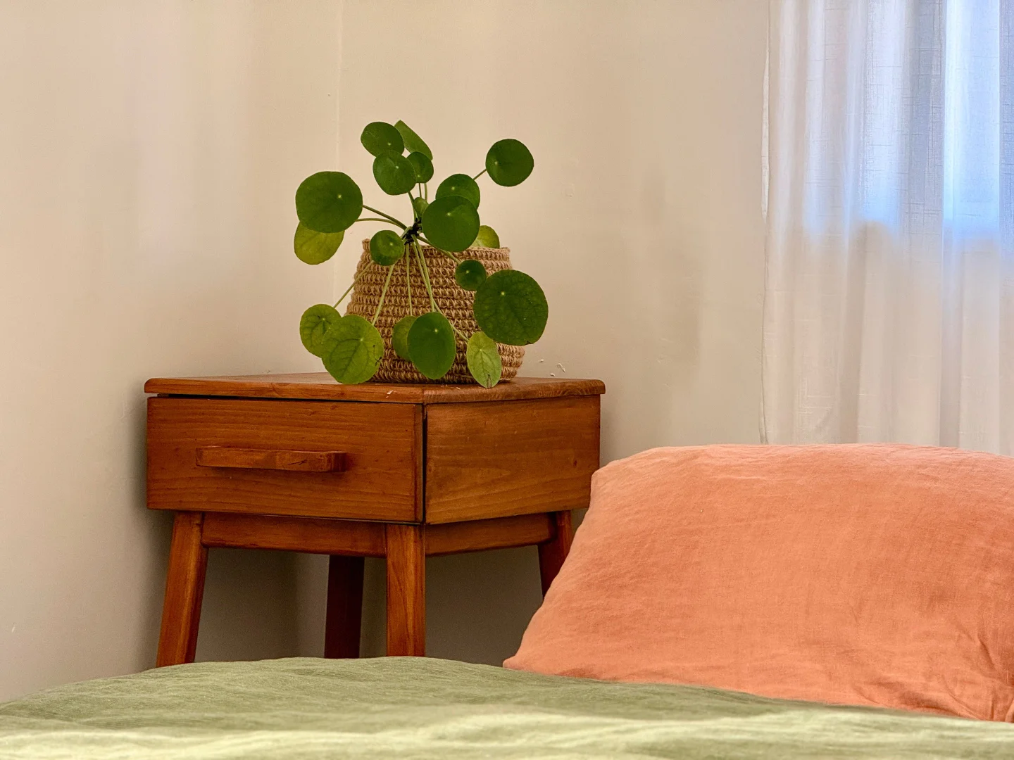 Additional image 13 of 14 Underwood Crescent, Harristown QLD 4350