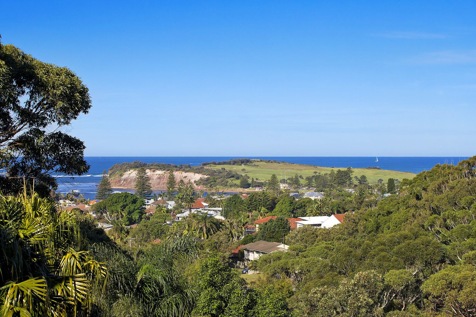 56 Alexander Street, Collaroy NSW 2097, Image 2