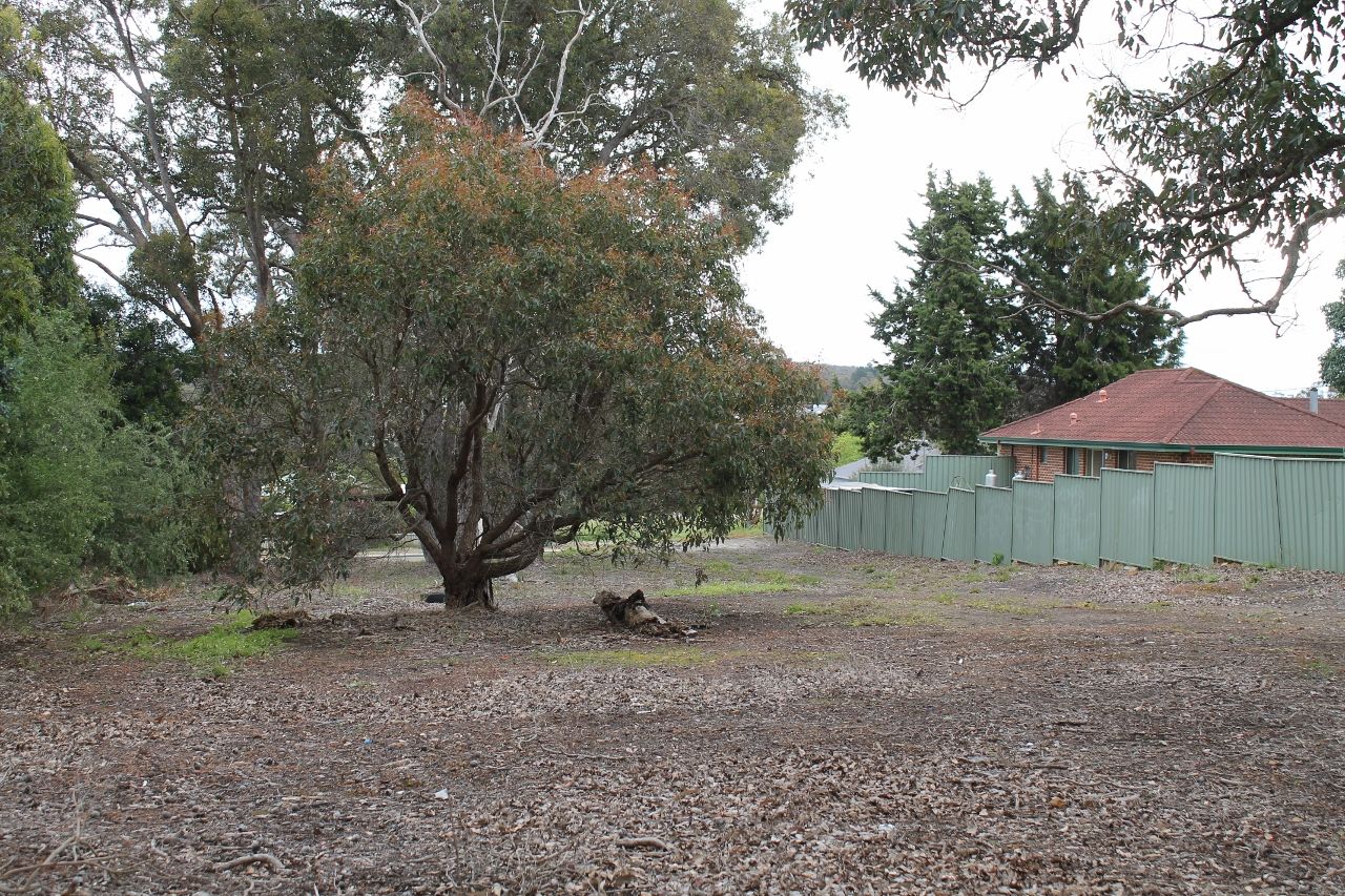 54 Hassell Street, Mount Barker WA 6324 Domain