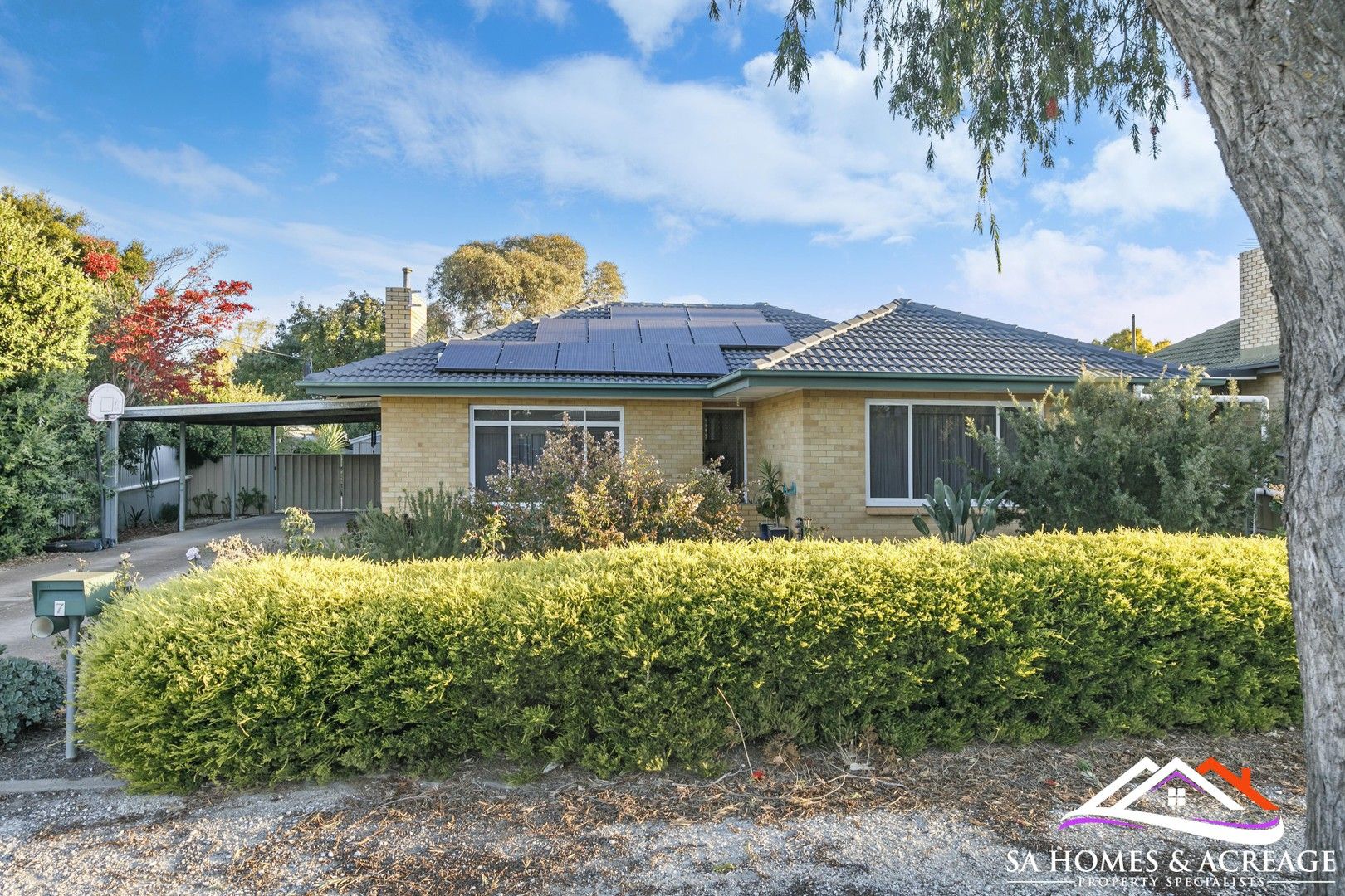 7 Corella Street, Nuriootpa SA 5355, Image 0