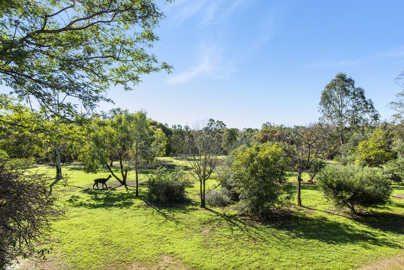 20 Hart Drive, Chittering WA 6084, Image 2