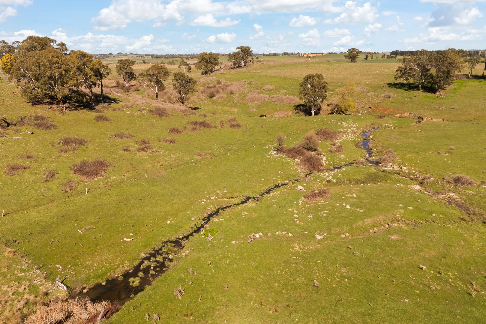 Additional image 18 of Millthorpe NSW 2798