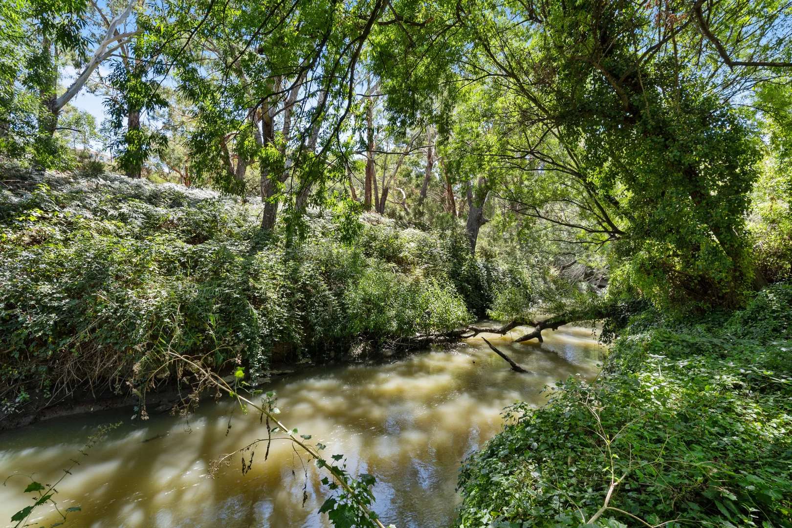Image 10