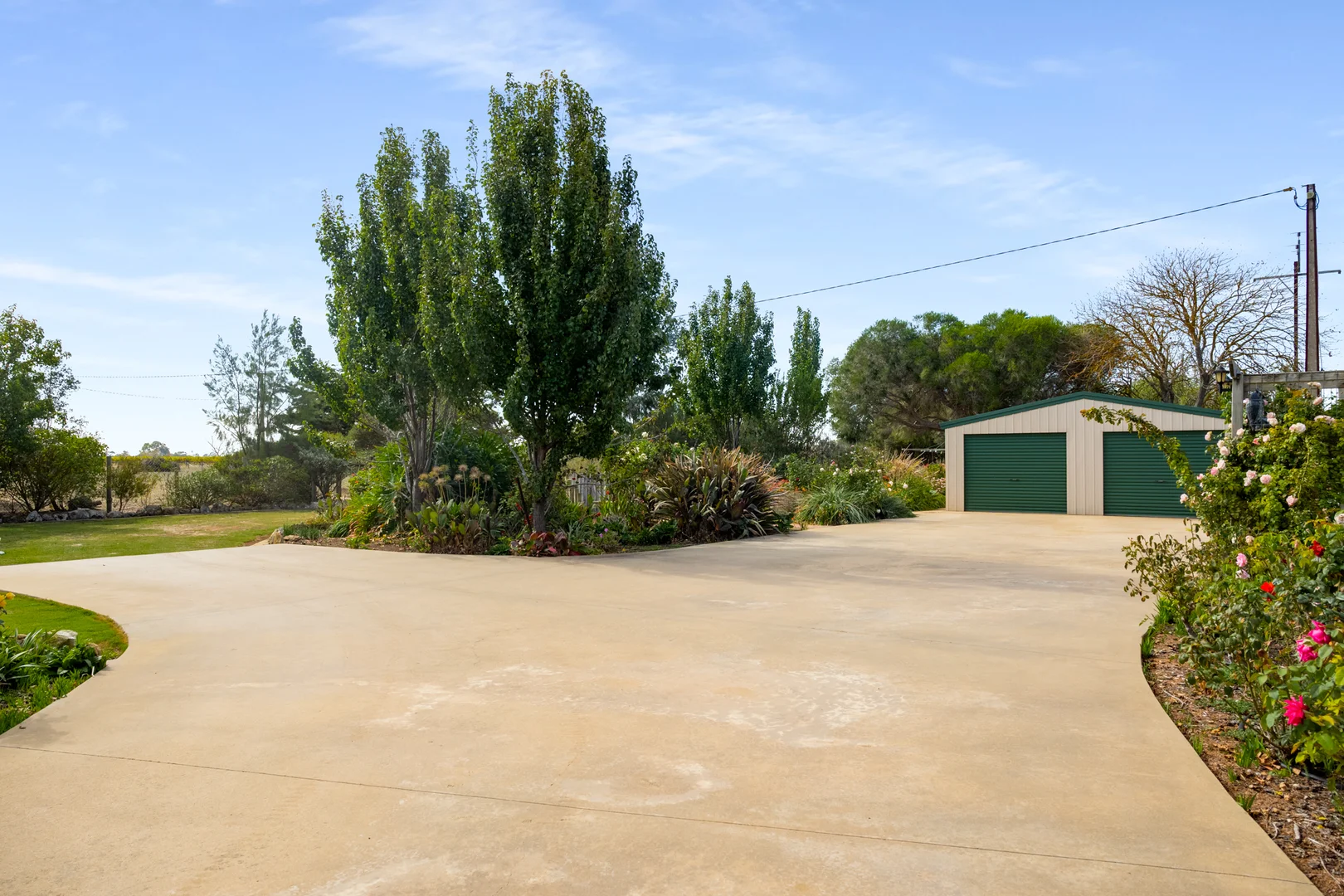 Image 22
