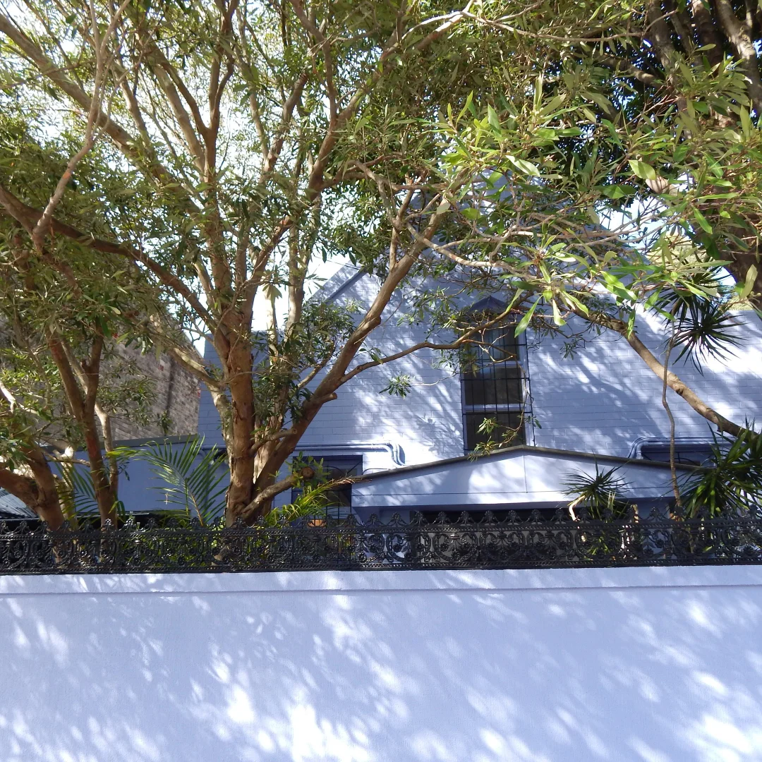 Image 7