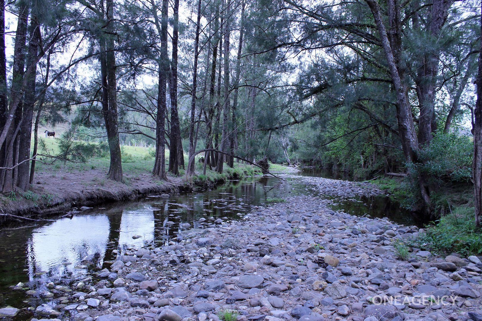 Lot 3 Carrai Road, Willi Willi NSW 2440, Image 1