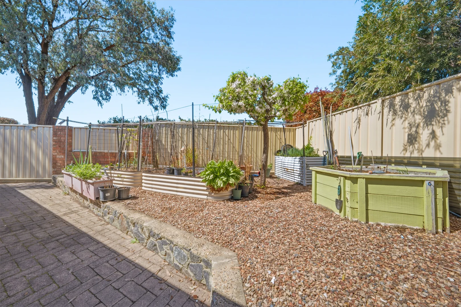 1/17 Hallstrom Circuit, Monash ACT 2904 | Domain