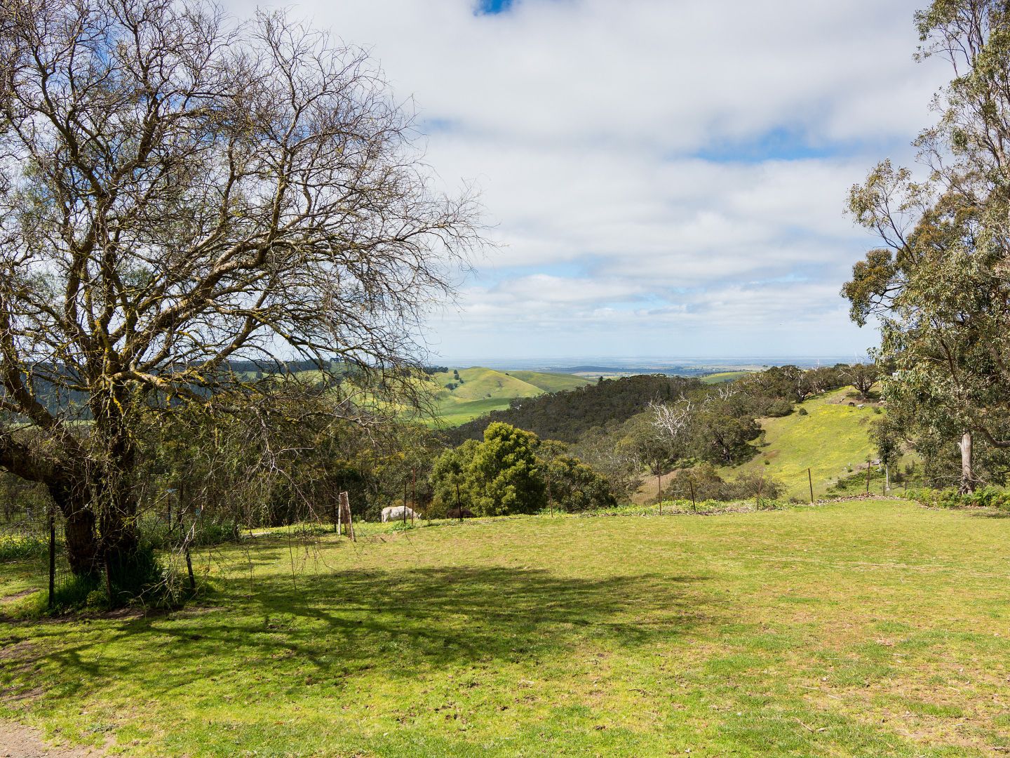 43 Valley Road, Prospect Hill SA 5201, Image 1