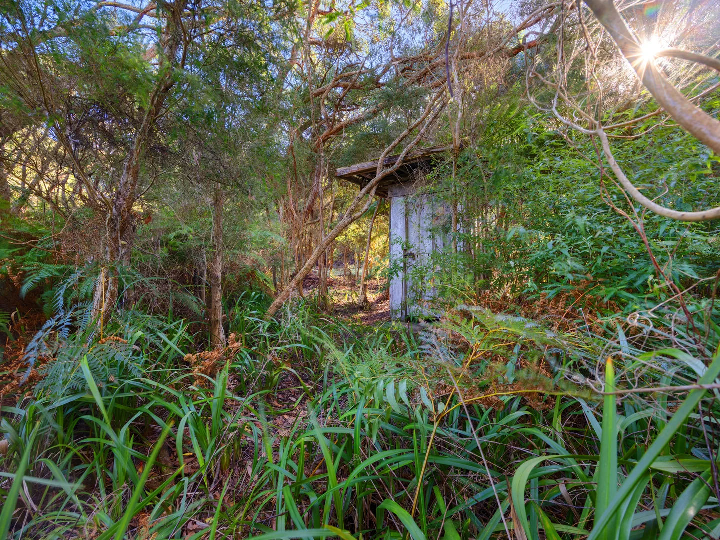 Image 11