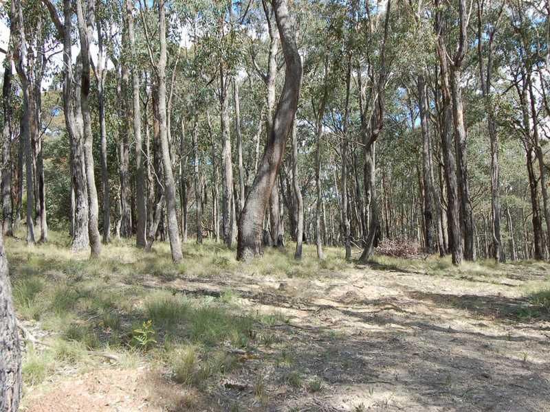 DALES CREEK VIC 3341, Image 0