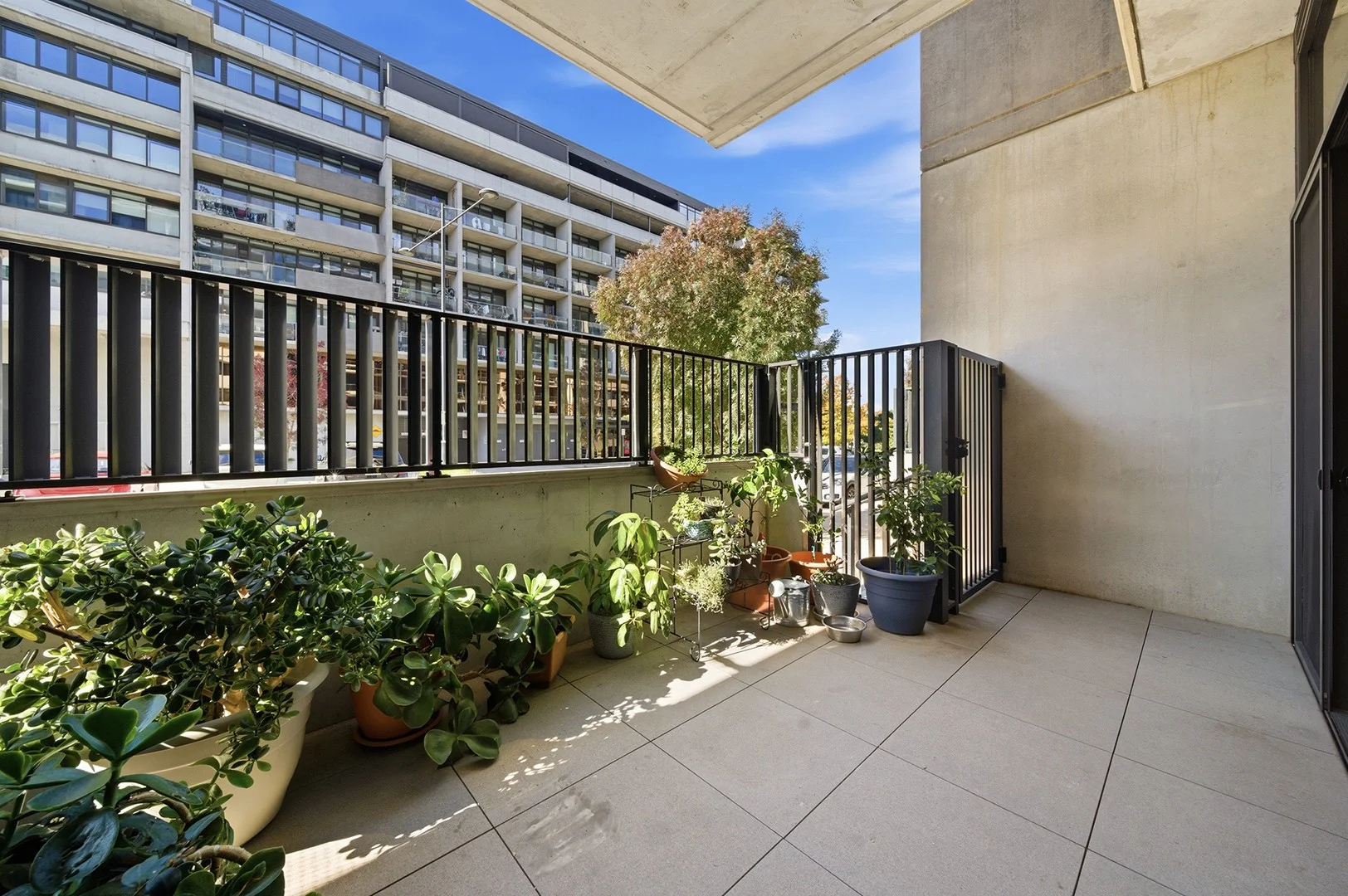 12/4 Anzac Park, Campbell ACT 2612