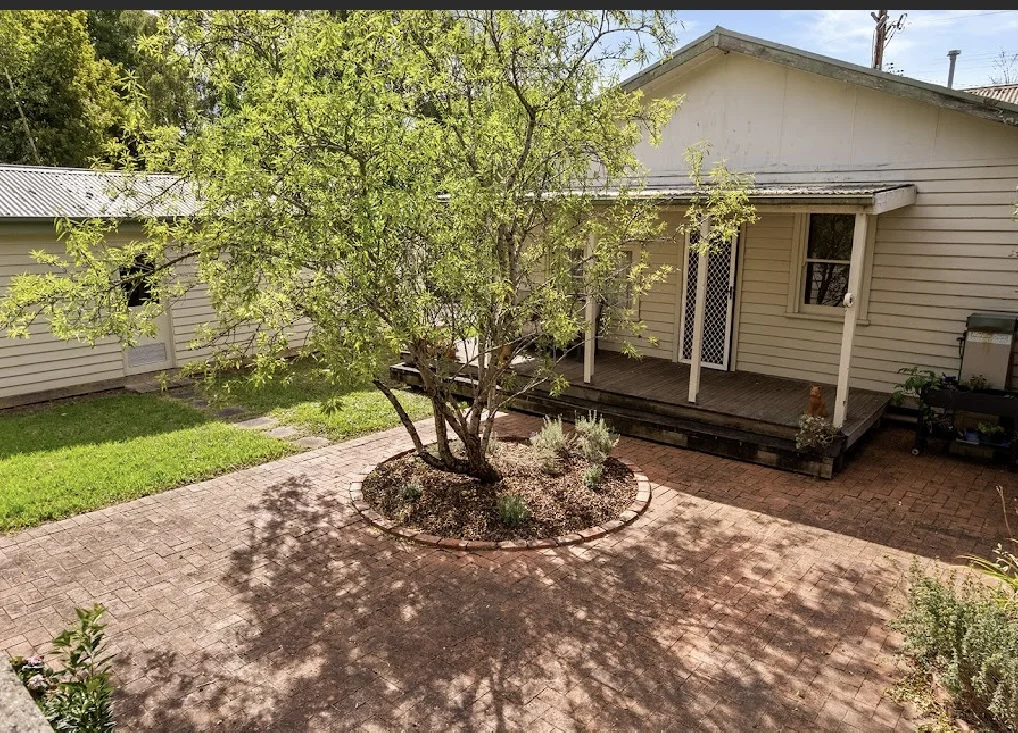 Image 13
