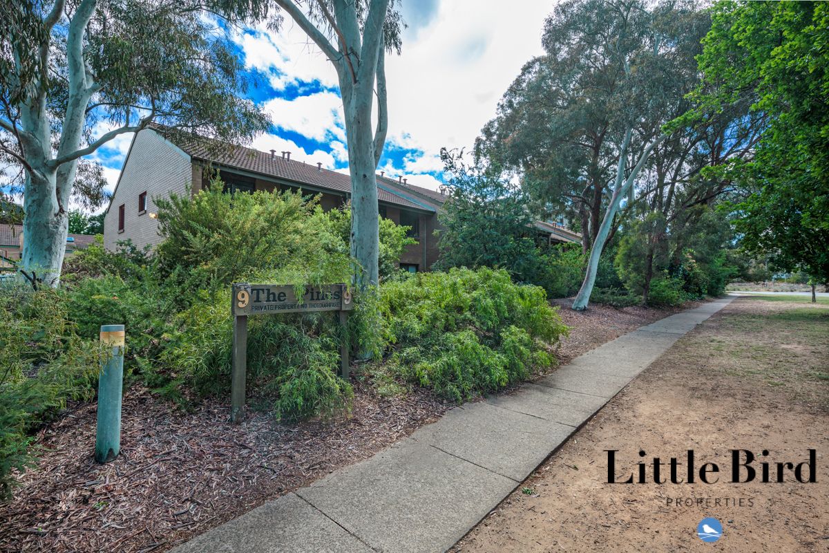 90/9 Murdoch Street, Lyneham ACT 2602 Apartment For Rent Domain
