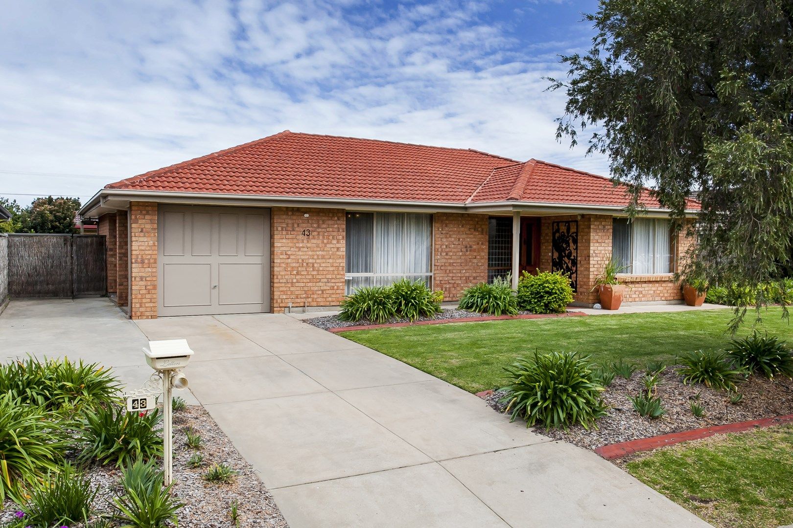 43 Bartlett Drive, Novar Gardens SA 5040, Image 0