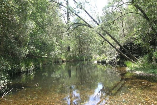 Picture of Lot 6 Dungay Creek Rd, WITTITRIN NSW 2440