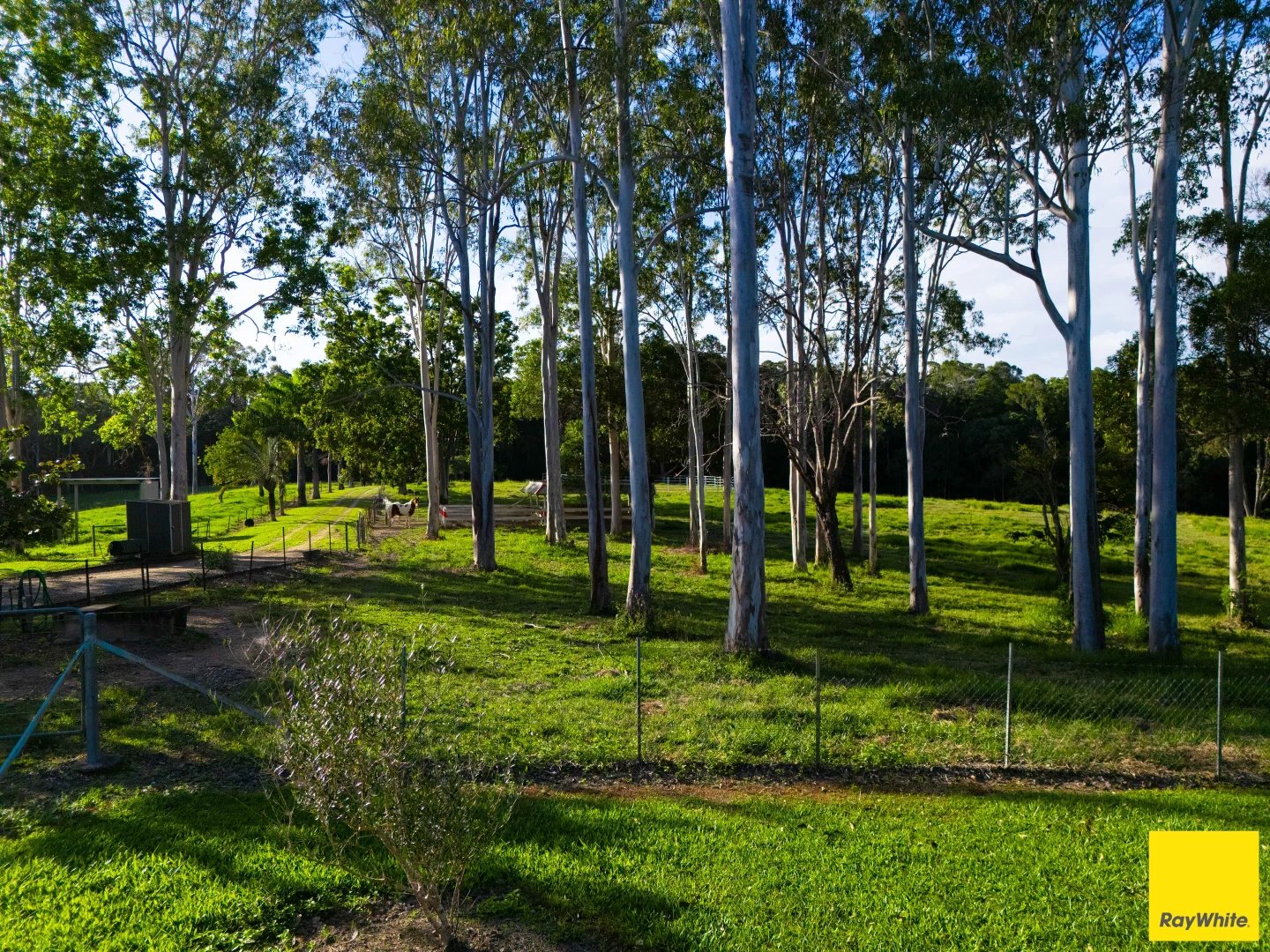 Image 14