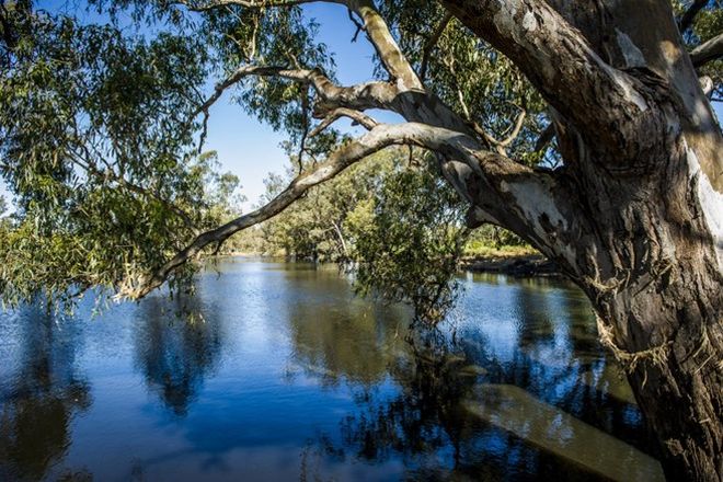 Picture of CONDOBOLIN NSW 2877