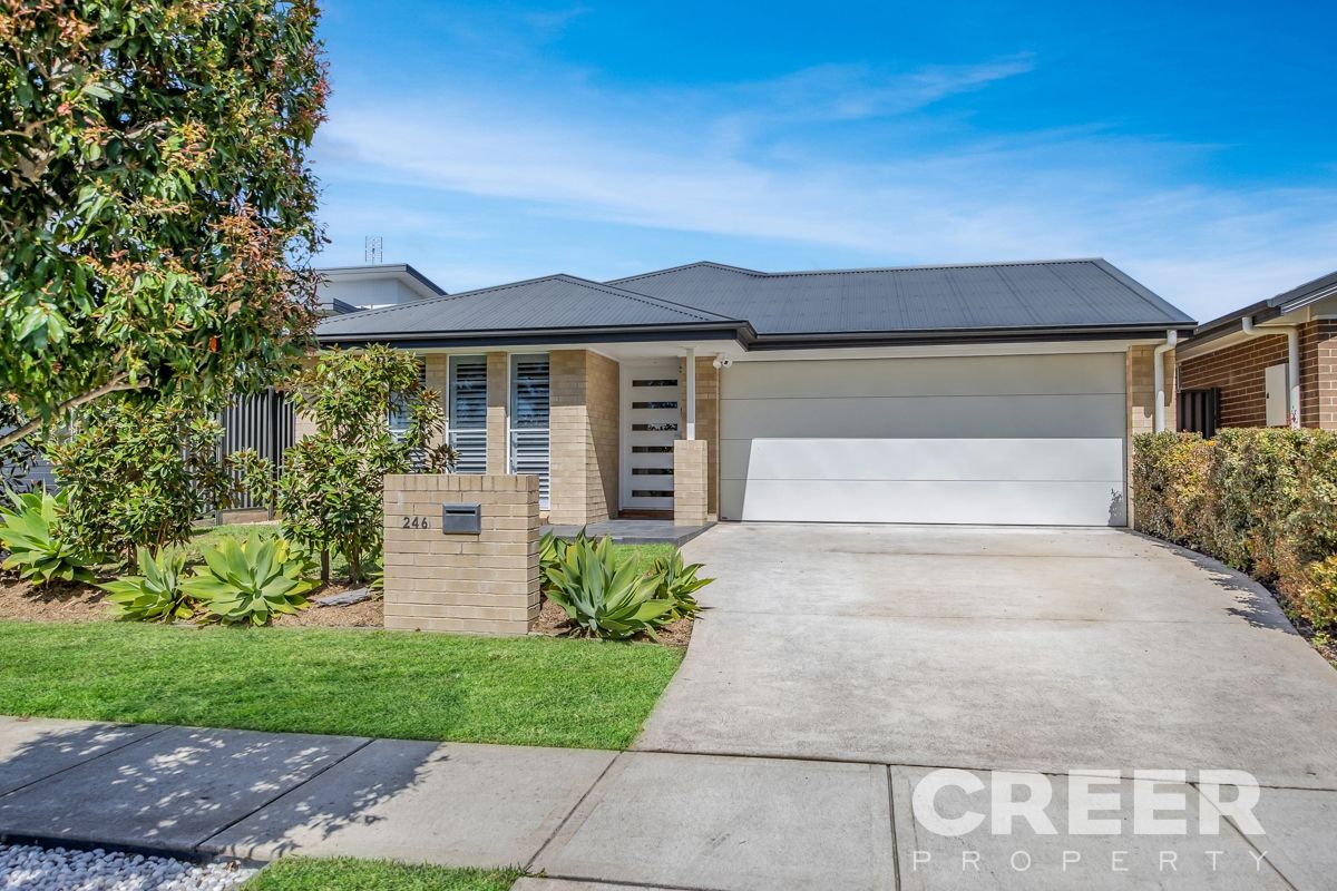 246 Fishermans Drive, Teralba NSW 2284, Image 0