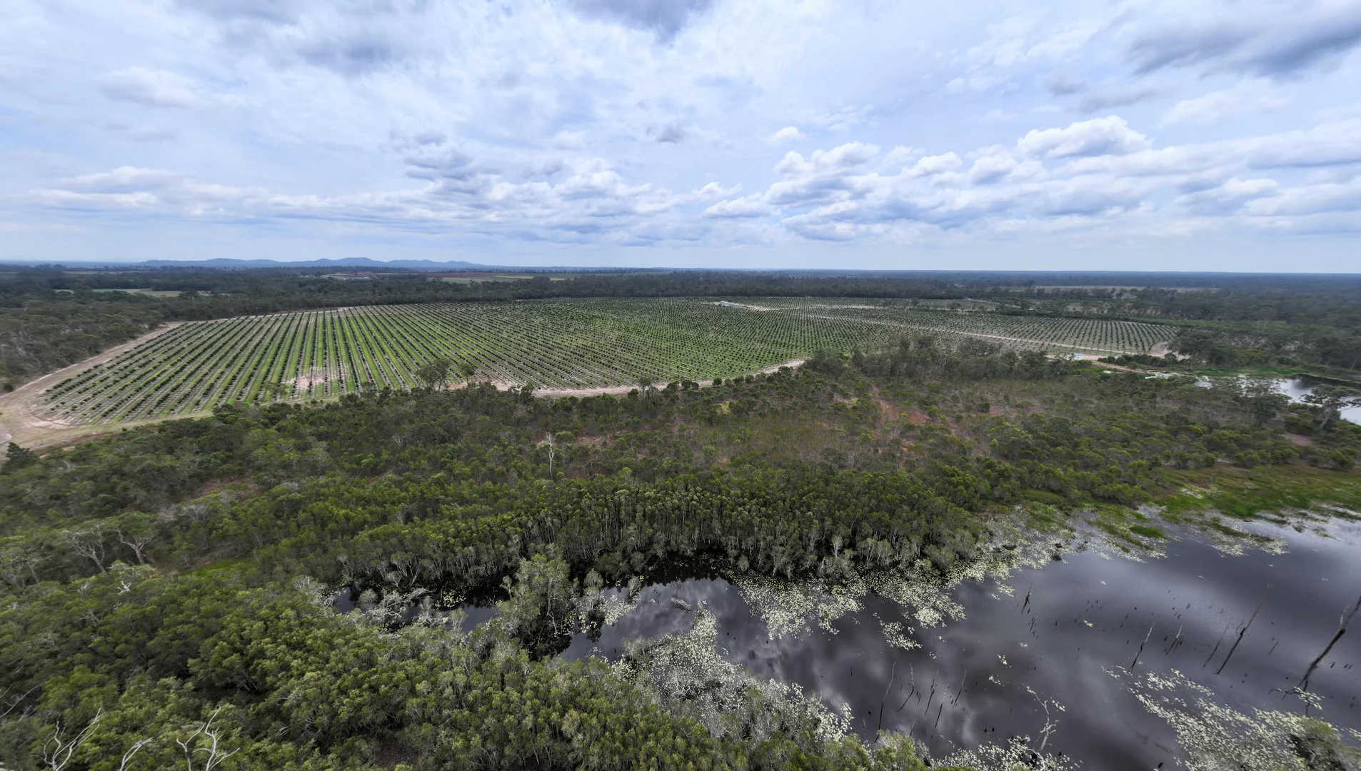 Additional image 7 of Bucca QLD 4670