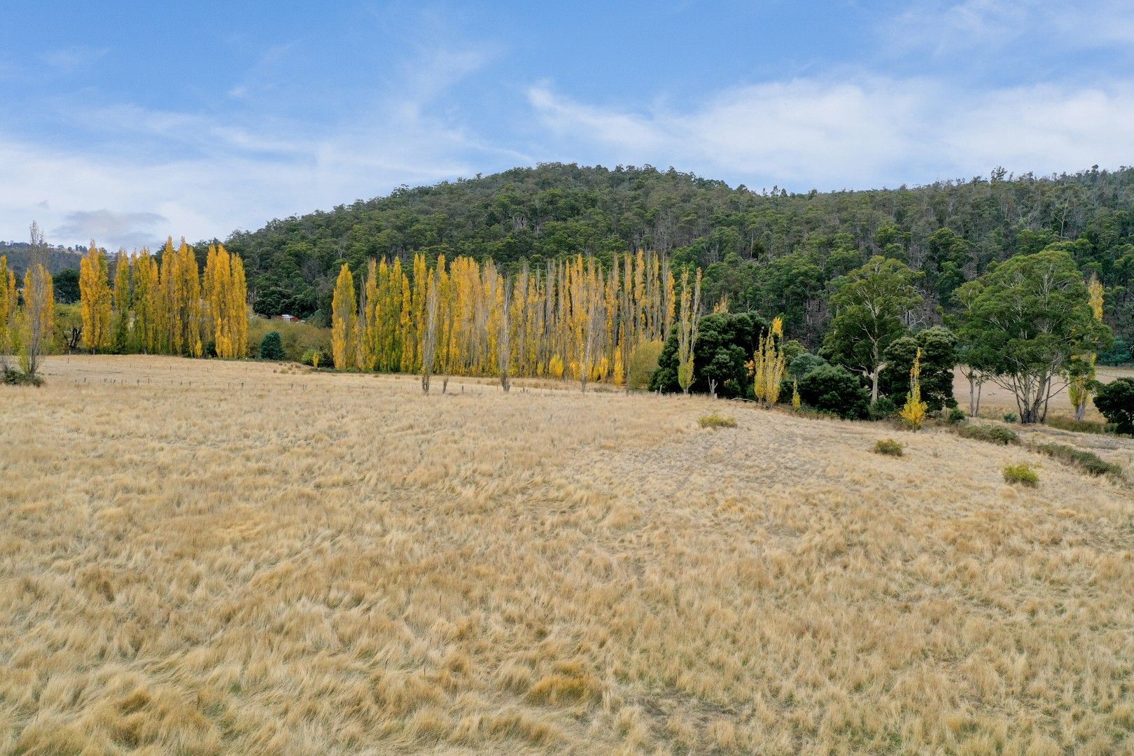 Lot 1 Ellendale Road, Fentonbury TAS 7140, Image 0