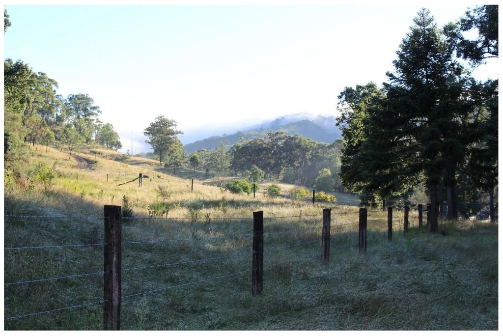 405 ACRES CATTLE GRAZING, Bunya Mountains QLD 4405, Image 0