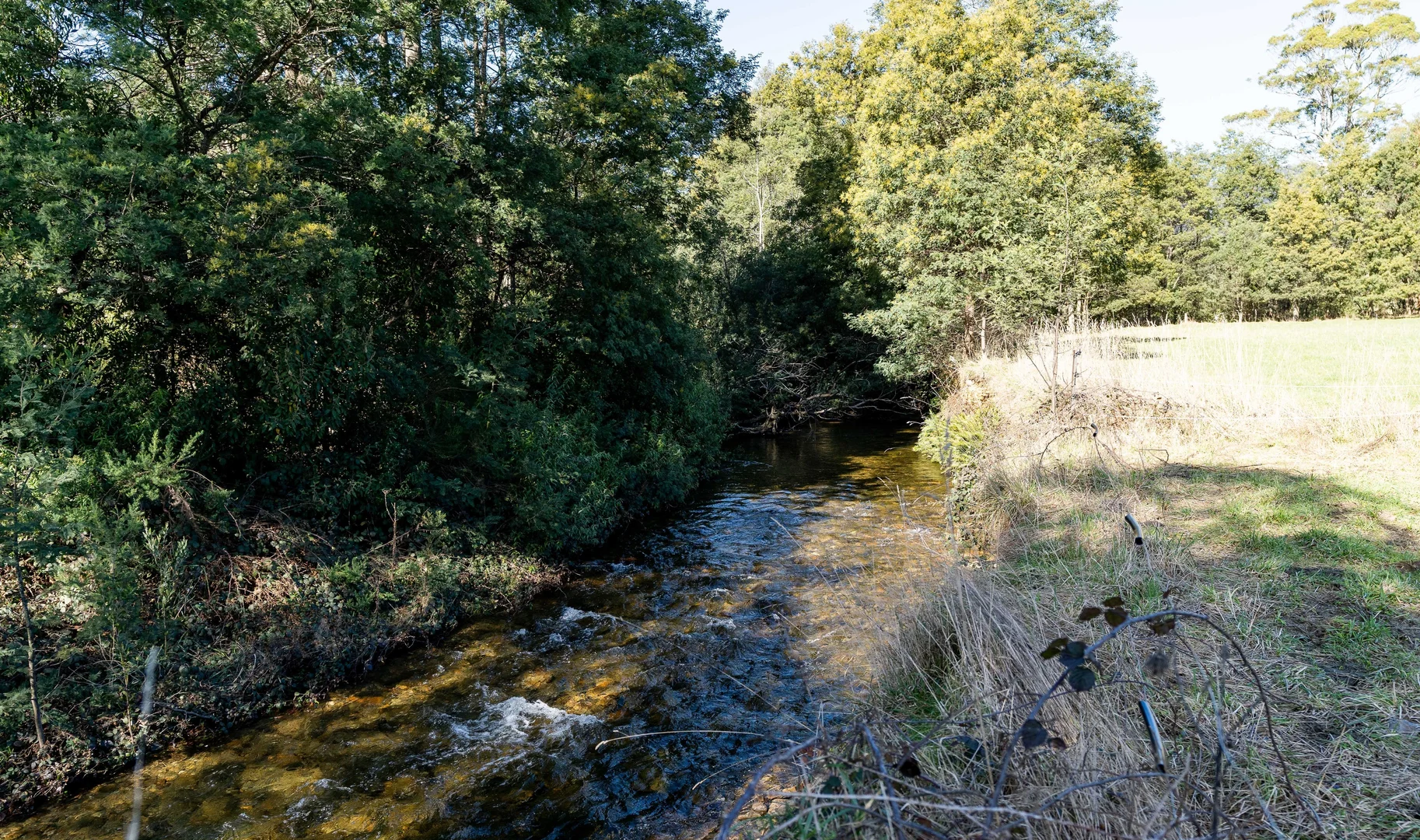 Image 25