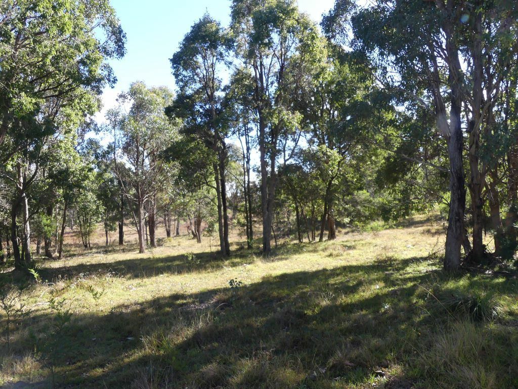 Lot 3 Topaz Road, Sugarloaf QLD 4380, Image 1