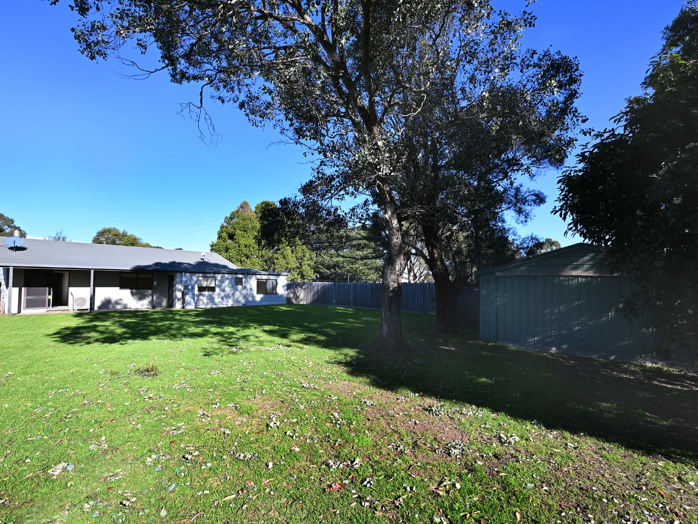 Image 15