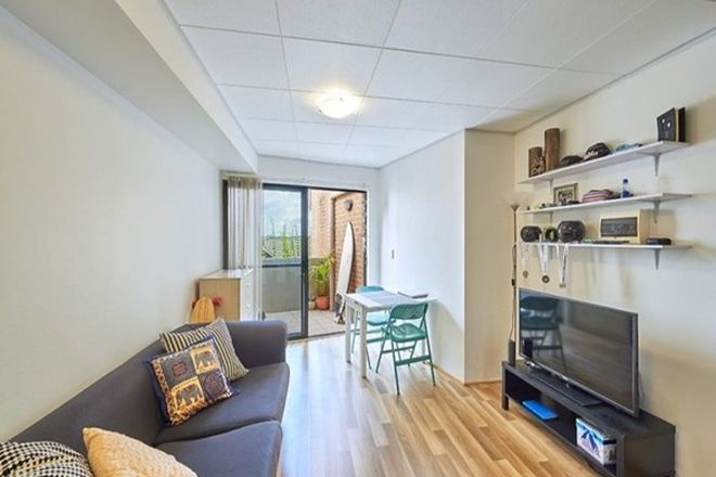 61 Studios For Rent In Randwick Nsw 2031 Domain