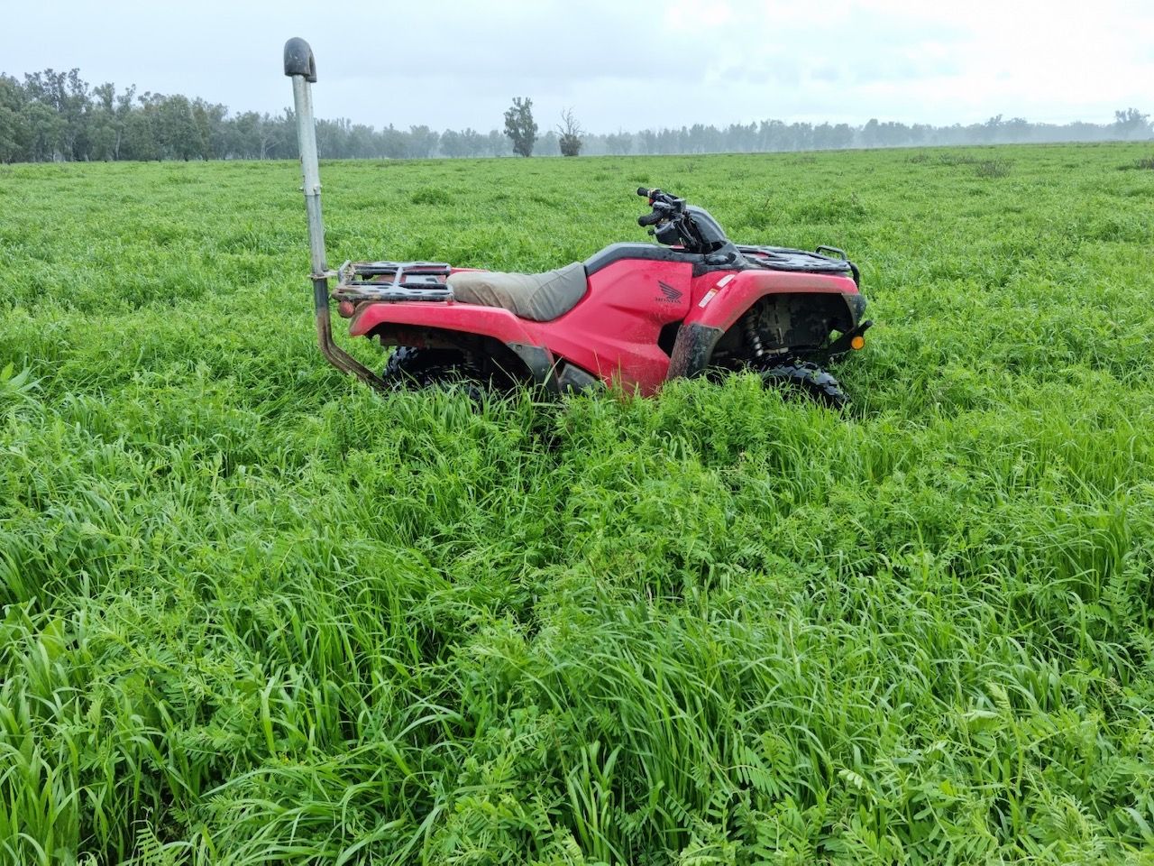 Forbes NSW 2871 Specialist Farm for Sale 2,300,000 Domain