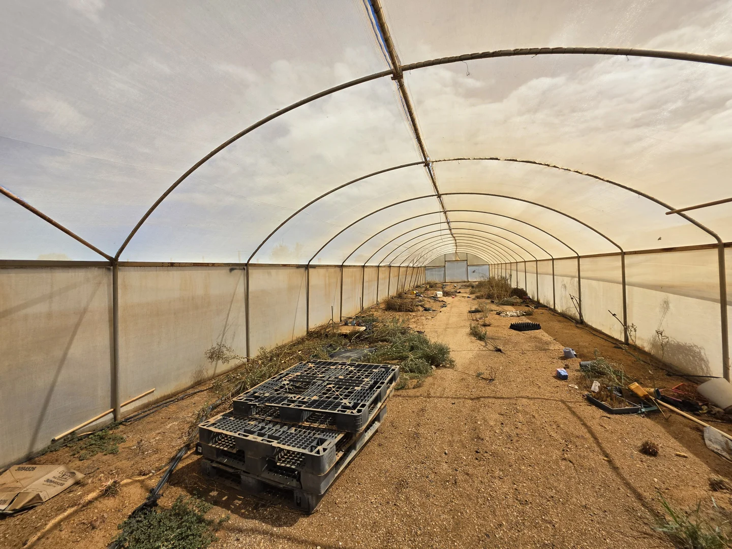 Additional image 10 of 366 South River Road, Carnarvon WA 6701