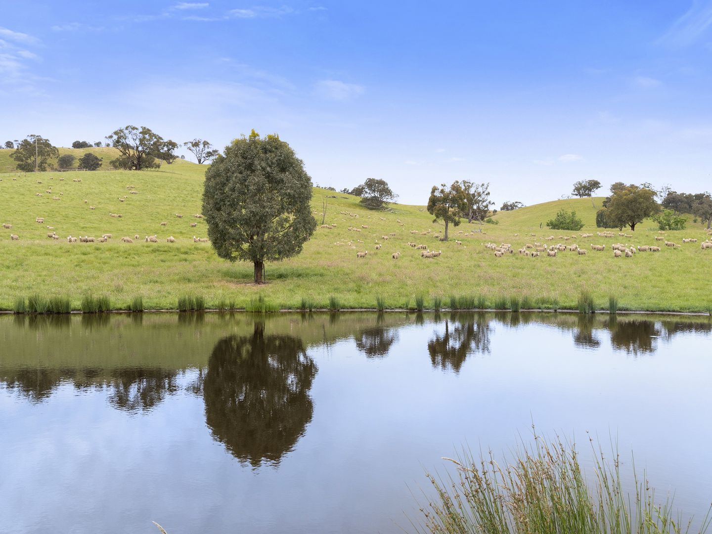 520 Glen Creek Road, Bonnie Doon VIC 3720, Image 2