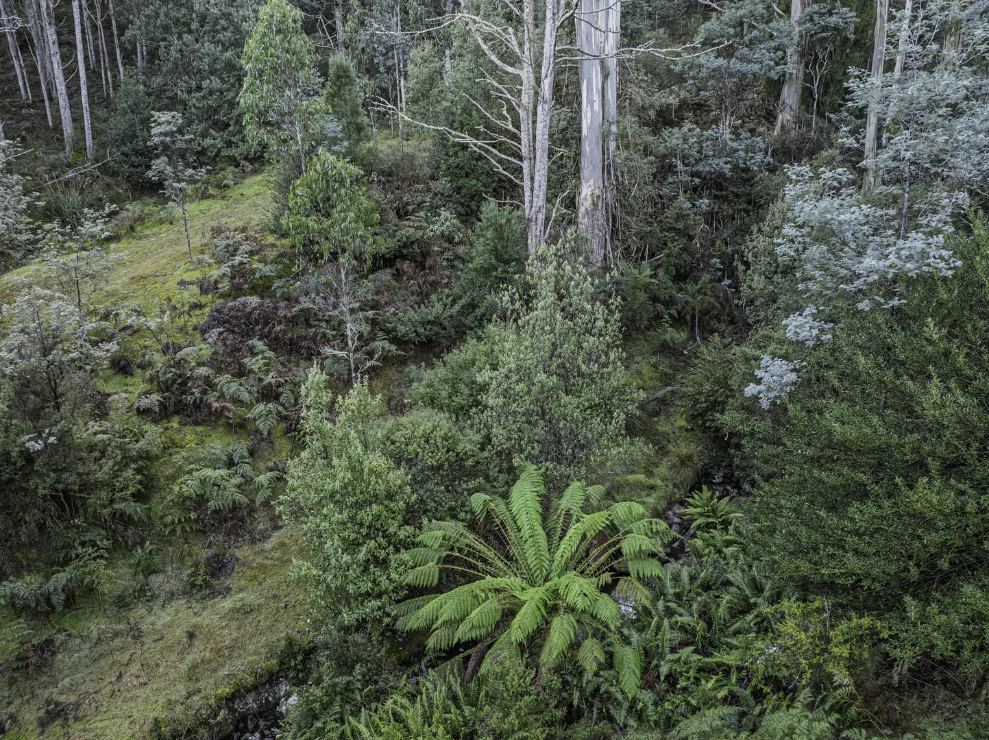 Image 15
