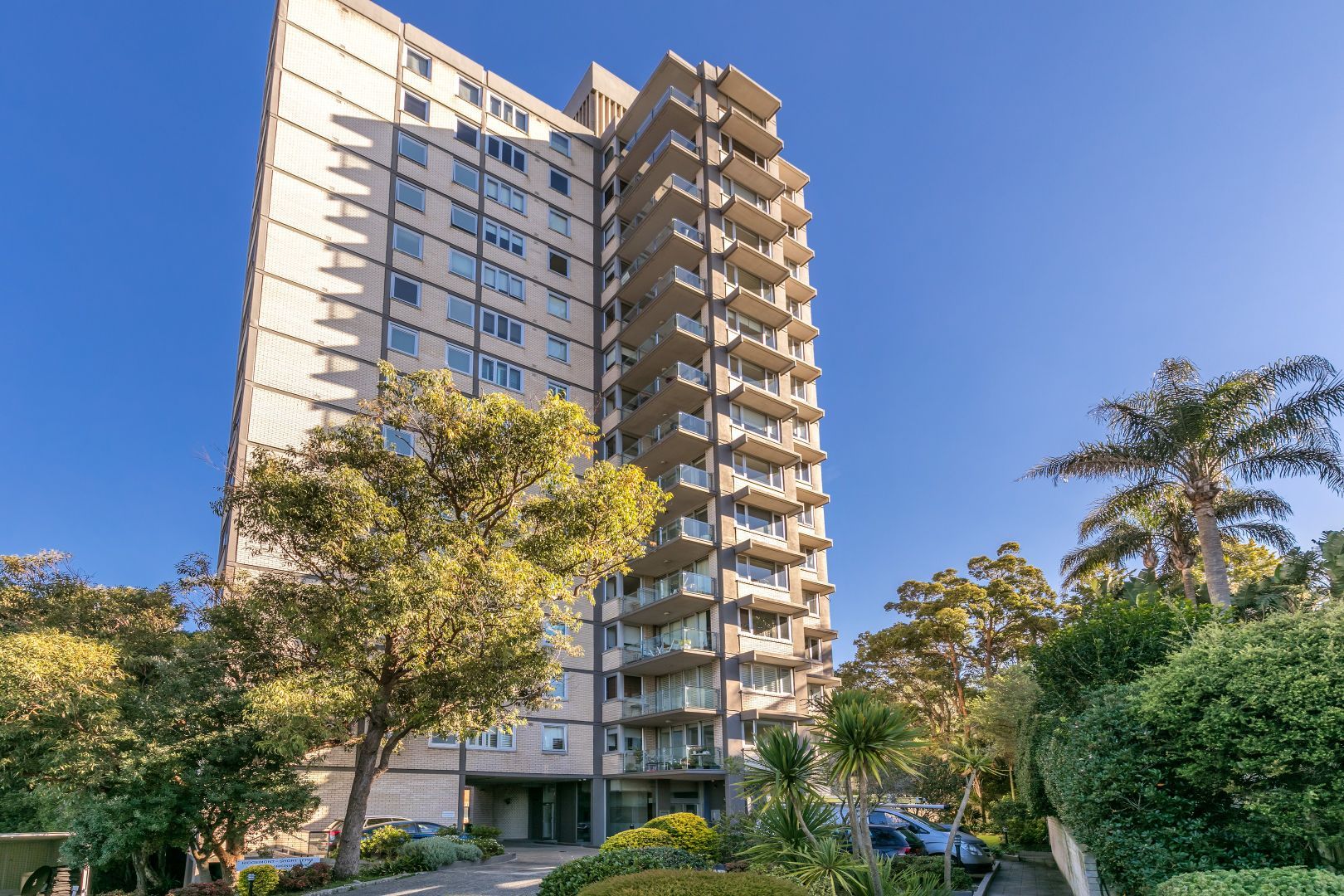 36/95A Ridge Street, North Sydney NSW 2060 Apartment For Rent Domain