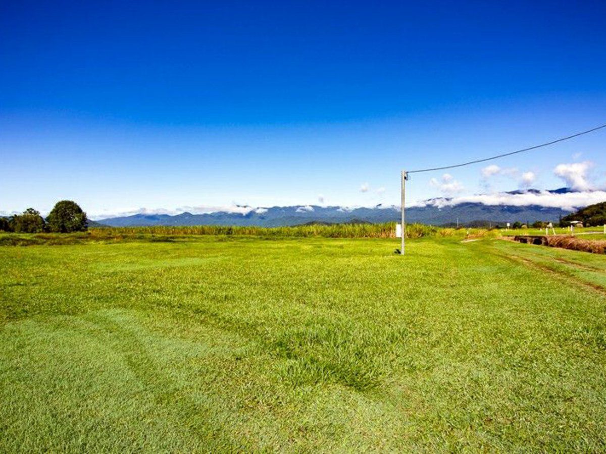 1176 Mossman Daintree Road, Rocky Point QLD 4873, Image 0