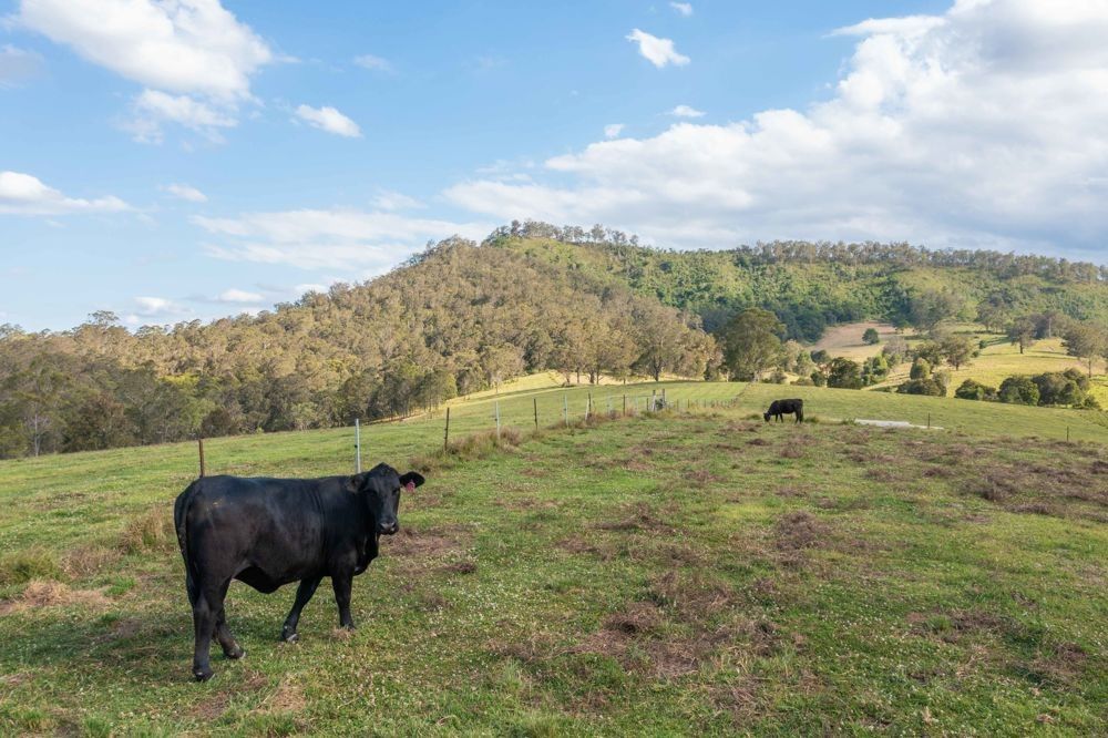 1 / 5887 Oxley Highway, Ellenborough NSW 2446 Vacant Land for Sale