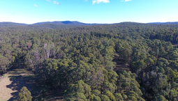 Picture of 54 Connley Track, TONGHI CREEK VIC 3890