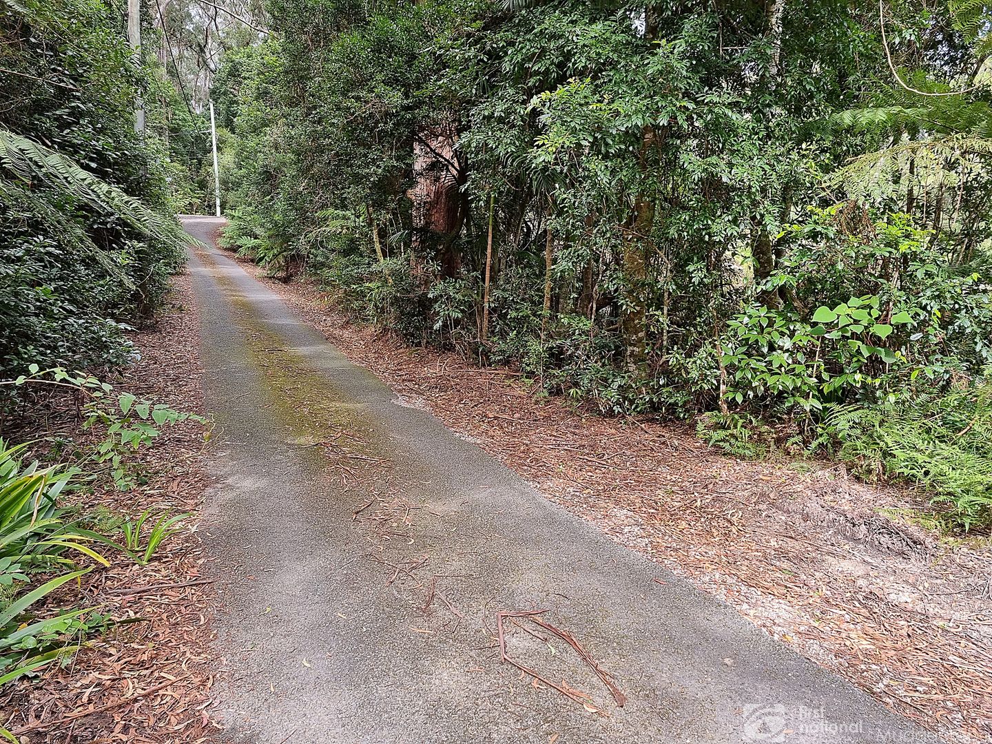 8 Mundora Road, Springbrook QLD 4213, Image 1