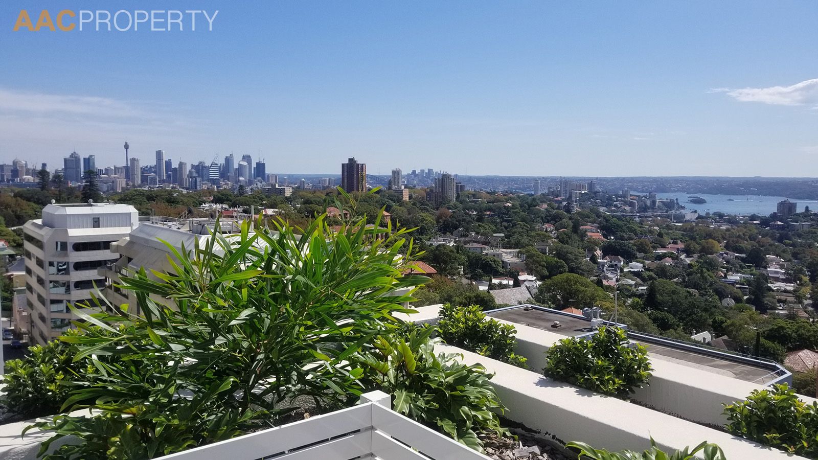 207/350 Oxford St, Bondi Junction NSW 2022, Image 1