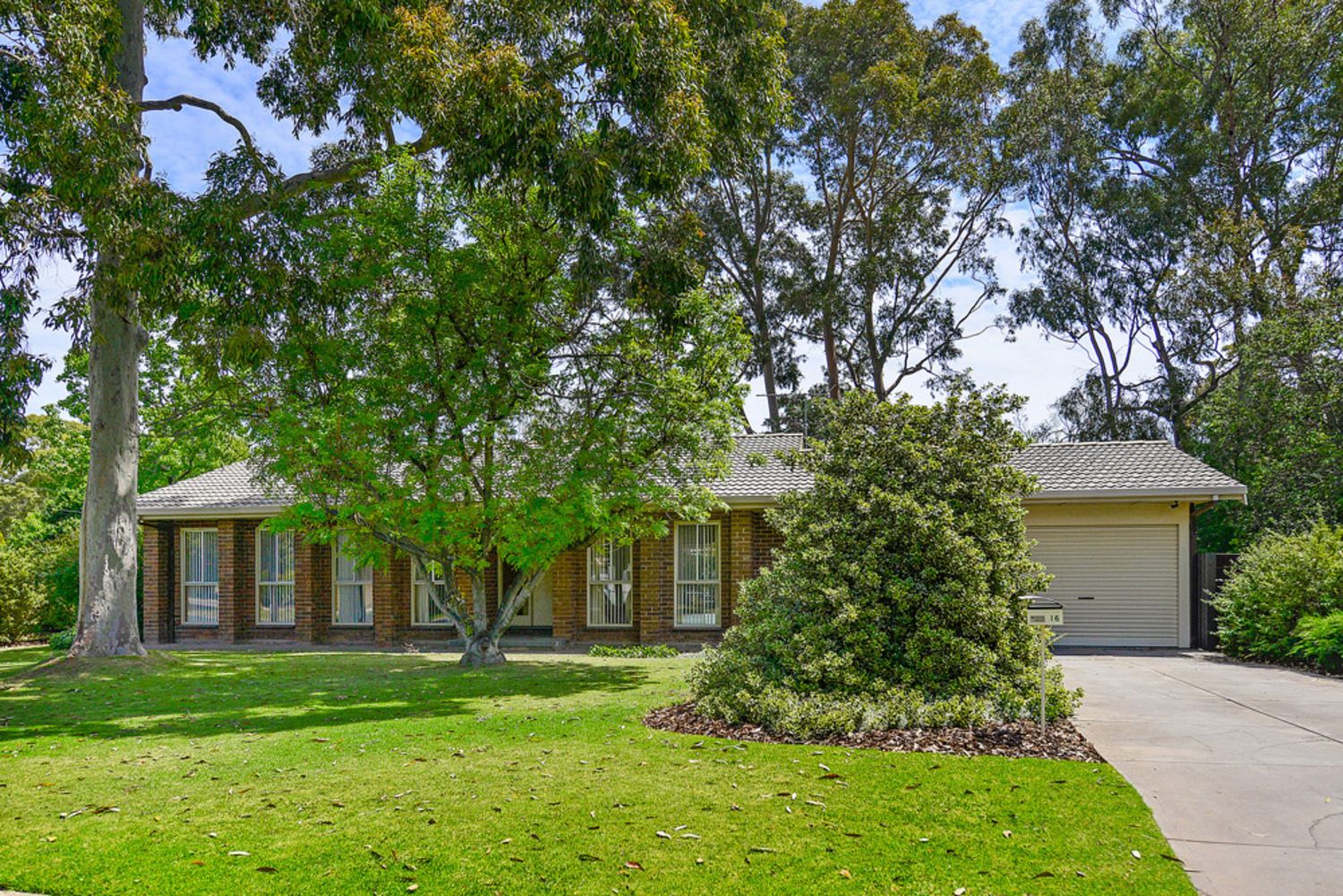 16 Knightsbridge Avenue, Valley View SA 5093, Image 0