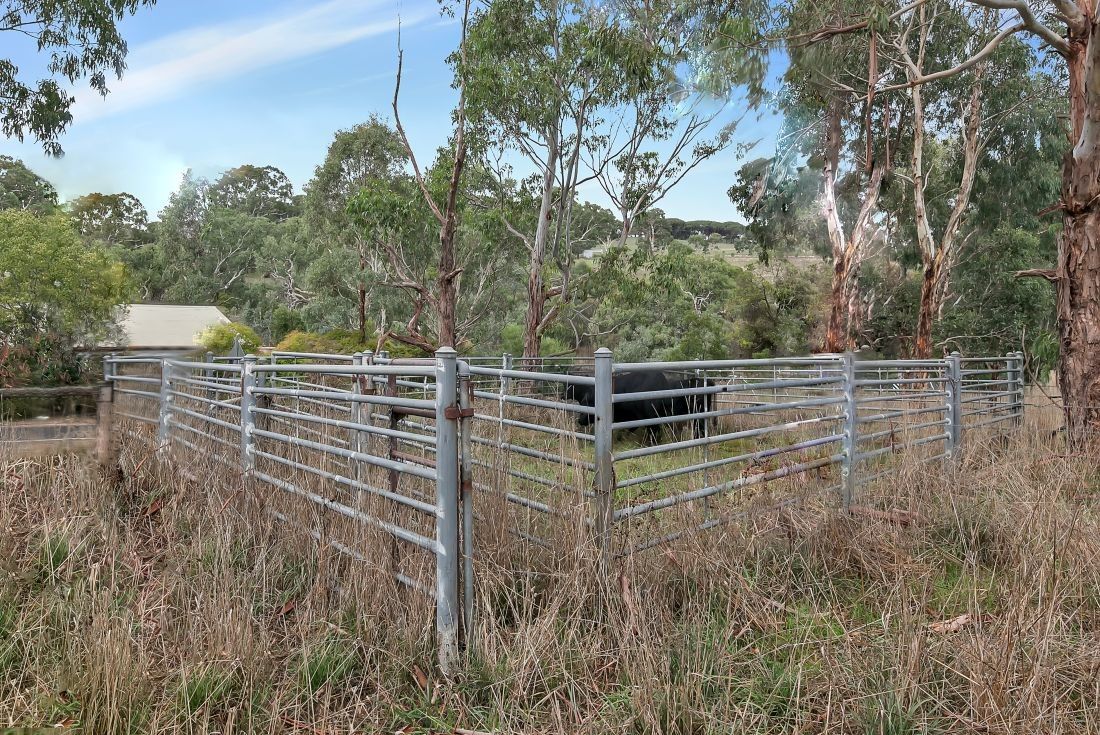 436 Springs Road, Mount Barker Springs SA 5251, Image 2