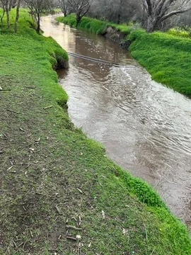 Image 14