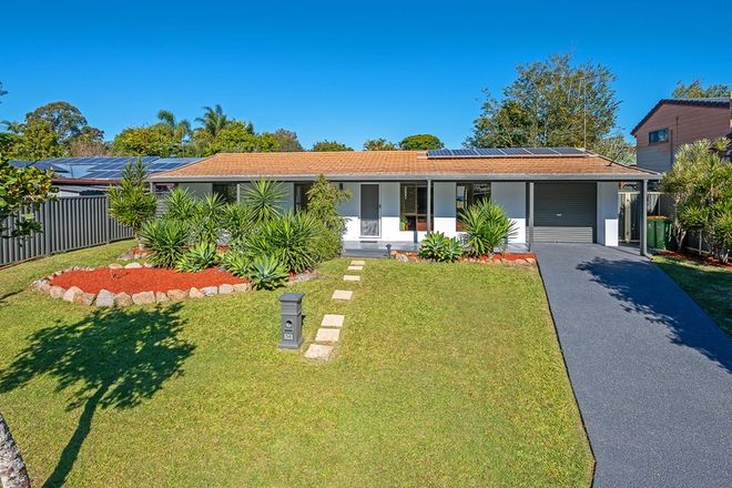 Picture of 56 Lobelia Avenue, DAISY HILL QLD 4127