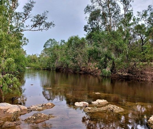 Picture of 16 Peninsula Development Road, LAKELAND QLD 4871