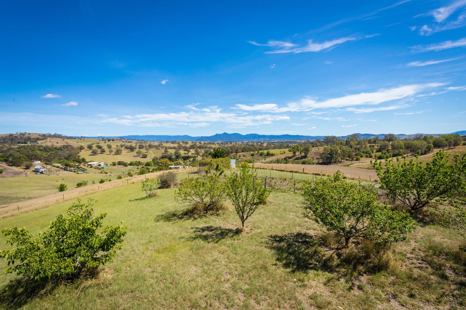 1574 Candelo Wolumla Road, Candelo NSW 2550, Image 0