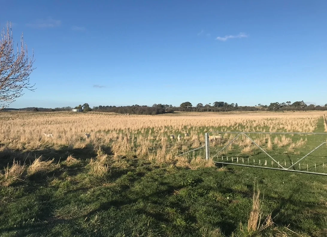 Additional image 19 of 75 Whiley Road, Spring Hill NSW 2800